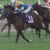 【競馬】8月終了 リーディング 川田106勝 ルメ98勝 戸崎81勝 武74勝 三浦70勝