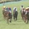 【競馬】ゴドルフィン時代来そうだな