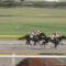 【競馬】実況の「ストロベリームーン優勝」クソワロタwwwwwwwwwwww