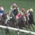【競馬・日本ダービー】バジオウ、大野とコンビ