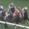 【競馬】枠順操作してるって言ってる奴って