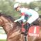 【競馬・AJCC】ブラストワンピース川田将雅騎手「大きなアクシデントさえ無ければ、しっかり結果が出せると思う」