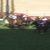 【競馬・札幌記念】フィエールマン弱すぎﾜﾛﾀｗｗｗｗｗｗｗｗ