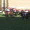 【競馬】かわだしょうがｗｗｗｗｗｗｗｗ
