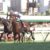 【競馬】ワグネリアンって結果的には四着だったけどここでワグネリアン消してた奴はセンスないよね