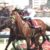 【競馬・宝塚記念】ブラストワンピース大竹師「水曜の計量で馬体重は５６５キロ。まだ絞れる余地はあるが反応はいい」