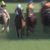 【競馬】悲報・・ホッコータルマエ産駒、地味に今週でデビューからJRA20連敗してた