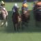 【競馬】悲報・・戸崎、しばらく見ない間に老ける