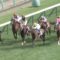 【競馬】的場文男酷すぎﾜﾛﾀｗｗｗｗｗ