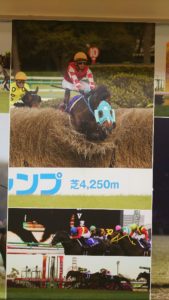 【競馬】[画像] 悲報・・オジュウチョウサン、障害を飛んでなかった