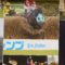 【競馬】[画像] 悲報・・オジュウチョウサン、障害を飛んでなかった