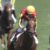 【競馬】ルメールって上手いの？良い馬乗ってるだけ？