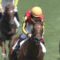 【競馬】サンデーレーシングさん、高額の癖して当たりがない