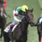 【競馬】騎手リーディング　ルメール142勝 川田136勝