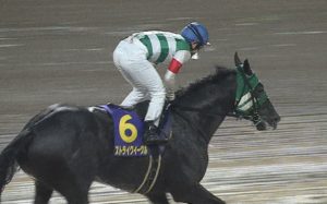 【競馬】大井11R ブリリアントカップ(SⅢ) ストライクイーグル強すぎワロタｗｗｗｗｗｗｗｗ