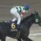 【競馬】大井11R ブリリアントカップ(SⅢ) ストライクイーグル強すぎワロタｗｗｗｗｗｗｗｗ