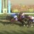 【競馬】スプリンター2番人気3番人気1番人気なのに、3連単6000円