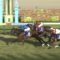【競馬】松若が今晩検索してそうなこと