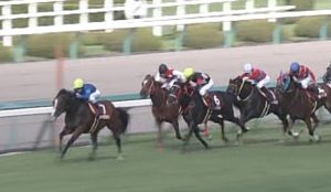 【競馬・スプリンターズS】なぜタワーオブロンドが1番人気なのか？