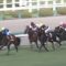 【競馬・スプリンターズS】なぜタワーオブロンドが1番人気なのか？