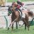 【競馬】やっぱりオルフェーヴルは特大ホームランバッターだな