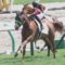 【競馬】皐月賞３着ガロアクリークは川田将雅騎手で日本ダービーへ