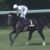 【競馬】皐月賞12着のマイラプソディは予定通り武豊でダービーへ アドマイヤビルゴの京都新聞杯騎手未定