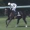 【競馬】トレヴの調教師が武豊騎手に「マイラプソディは来年のダービー獲れるんじゃない」と抱擁