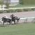 【競馬】マイラプソディさん、またも2着馬を故障させる