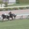 【競馬】マイラプソディ名付け親の武豊さん、サトノフラッグ騎乗決定でキーファーズ涙目・・