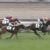 【競馬】悲報・・東スポ2歳想定7頭wwwwwww