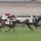 【競馬】武豊ラインベック強奪wwwwwww