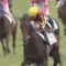 【競馬・神戸新聞杯】ヴェルトライゼンデ池江調教師「骨折明けで中身がまだ出来てない。ただでさえ叩き良化型なので」
