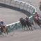 【競馬・ながつきS】ゴールドクイーン強すぎワロタｗｗｗｗｗｗｗｗ