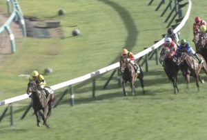 【競馬・京成杯AH】フジ青嶋「4コーナー、トロワゼトワルとのぎゅ～っと差が詰まってきた！！」