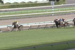 【競馬】トロワゼトワルが世界最強馬で決定だな