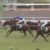 【競馬・小倉2歳S】マイネルグリッドで1364万GETした奴出てこい!!!! 【競馬・小倉2歳S】マイネルグリッドで1364万GETした奴出てこい!!!!