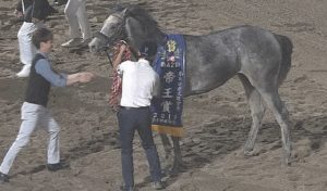 【競馬】オメガパフュームの母につけられた種牡馬が酷すぎる問題
