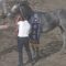 【競馬】オメガパフュームの母につけられた種牡馬が酷すぎる問題
