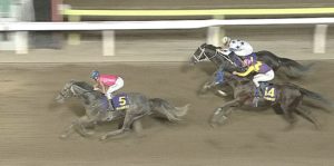 【競馬・東京大賞典】悲報・・オメガパフュームの前日オッズ1.1倍