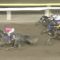 【競馬・東京大賞典】悲報・・オメガパフュームの前日オッズ1.1倍