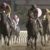 【競馬】川崎に化物現る！2歳にして古馬B2戦の時計を上回った怪物インペリシャブル