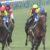 【競馬】シャケトラ、最後の姿。角居師「残念です」