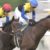 【競馬】未来人金子オーナー、手持ちの繁殖牝馬にある種牡馬を種付けする 【競馬】未来人金子オーナー、手持ちの繁殖牝馬にある種牡馬を種付けする