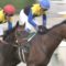 【競馬】菜七子にとうとう金子オーナーから勝ち負け出来る馬の依頼が来た