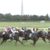【競馬】エイシンフラッシュ最初で最後の希望カヴァルに騙される会