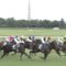 【競馬・新潟記念】悲報・・レイエンダとはなんだったのか....