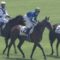 【競馬】今年の2歳ハーツクライ産駒なんなの？