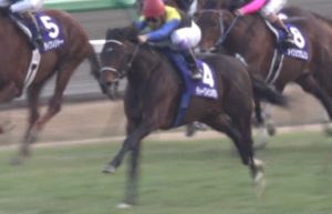 【競馬】弥生賞、来年から「弥生賞ディープインパクト記念」に改称
