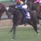 【競馬】弥生賞、来年から「弥生賞ディープインパクト記念」に改称